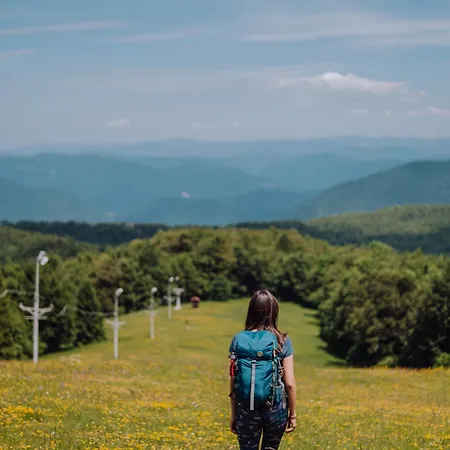 Mali Brlog アパート *