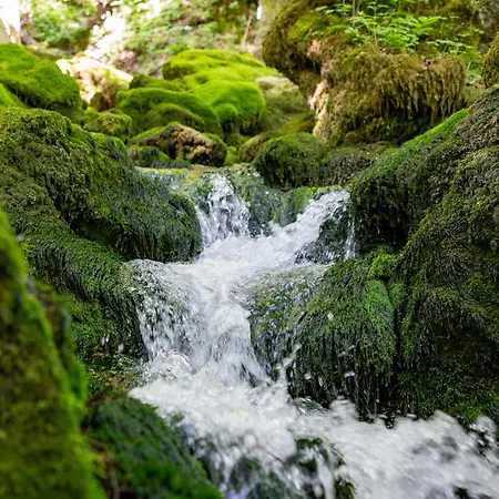 アパート Mali Brlog デルニツェ
