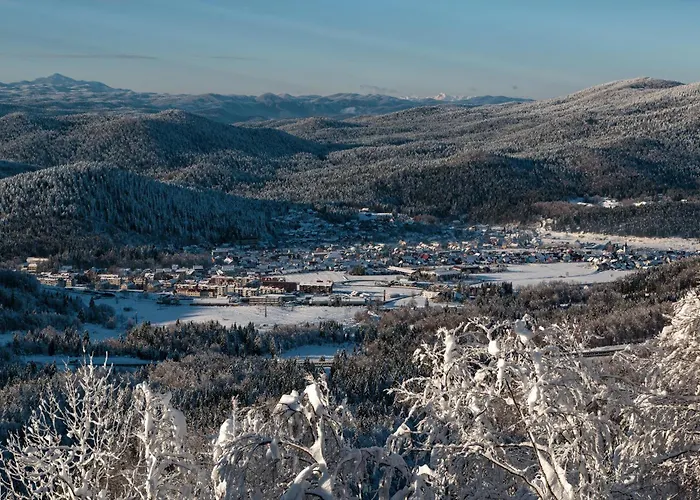 Mali Brlog Apartment Delnice