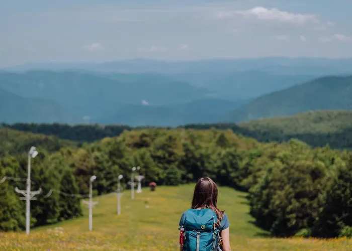 Mali Brlog Apartman *