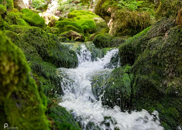 Apartman Mali Brlog Delnice