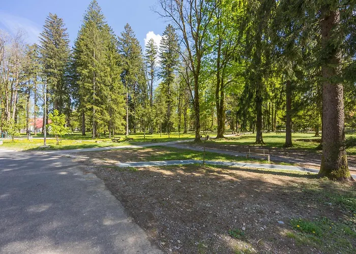 Apartman Mali Brlog *